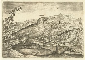 Twee vogels in een landschap door Adriaen Collaert