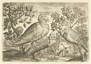Twee vogels in een landschap