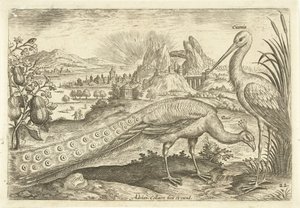 Twee vogels in een landschap
