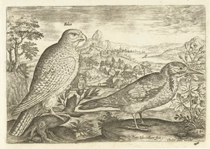 Twee vogels in een landschap door Adriaen Collaert