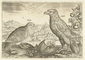 Twee vogels in een landschap door Adriaen Collaert