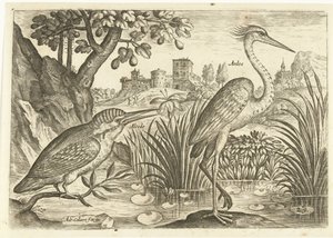 Twee vogels in een landschap door Adriaen Collaert