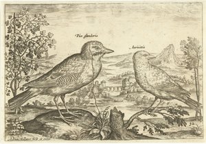 Twee vogels in een landschap door Adriaen Collaert