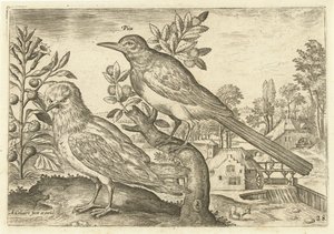 Twee vogels in een landschap door Adriaen Collaert