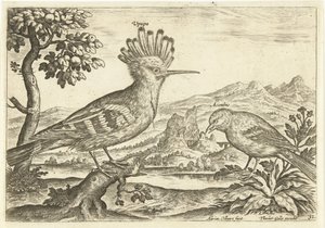 Twee vogels in een landschap door Adriaen Collaert