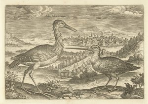 Twee vogels in een landschap door Adriaen Collaert