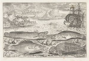 Vier vissen op het strand Vissen Piscivm vivae icones