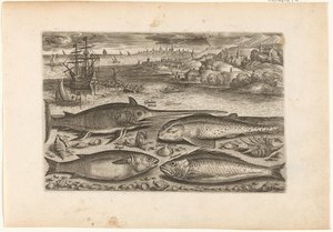 Vier vissen op het strand door Adriaen Collaert