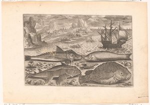 Vier vissen op het strand