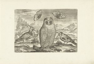 Vogels en vlinders in een landschap door Adriaen Collaert