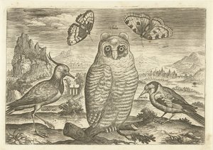 Vogels en vlinders in een landschap door Adriaen Collaert