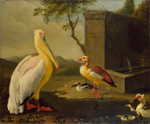 Oosterse vogels, 1683