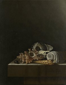 Schelpen op een stenen plint door Adrian Coorte
