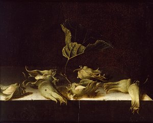 Stilleven met hazelnoten, 1696