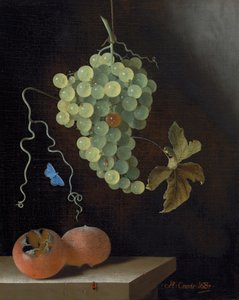 Stilleven met een Hangende Druiventros, Twee Mispels en een Vlinder door Adrian Coorte