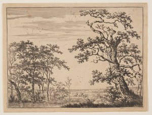 De vijver door Adriaen Hendricksz. Verboom