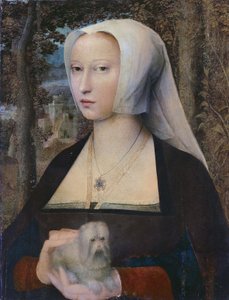 Portret van een dame, halflang, met een hond