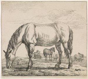Grazend paard door Adriaen van de Velde