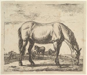 Grazend Paard, uit Verschillende Dieren door Adriaen van de Velde