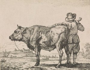 Man staand met stier