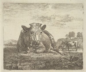 Liggende koe, uit Verschillende Dieren, 1657 door Adriaen van de Velde