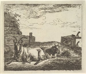 Liggende geiten, uit Verschillende dieren