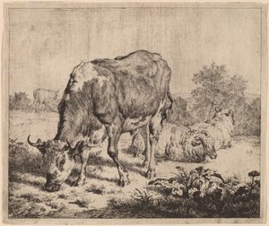 Gevlekte stier en drie schapen door Adriaen van de Velde
