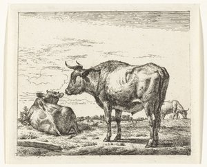 Staande stier door Adriaen van de Velde