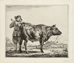 De Koeherder en de Stier