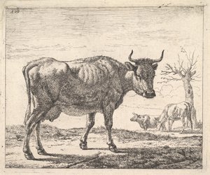 Drie Koeien door Adriaen van de Velde