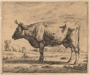 Twee Koeien en een Schaap
