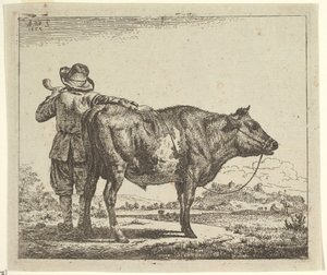 Jonge Herder met een Stier, uit Verschillende Dieren door Adriaen van de Velde