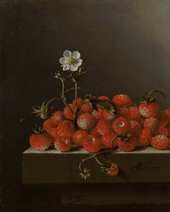 Stilleven met wilde aardbeien, 1705