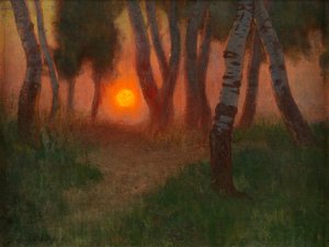 Zonsondergang in een bebost landschap