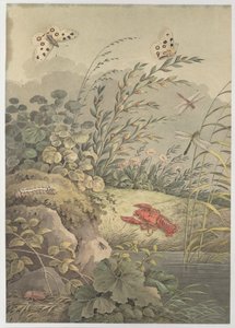 Stuk water met krab, vlinders, libellen en duindoorn, c. 1800