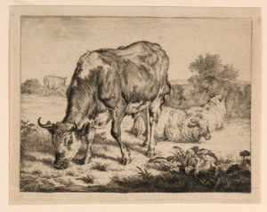 Os en drie schapen door Adrian van de Velde