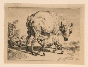 De ooi door Adrian van de Velde