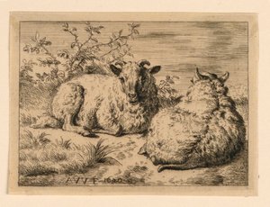 De Twee Schapen door Adrian van de Velde