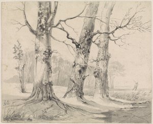 Winterlandschap