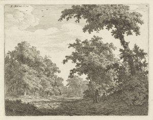 Rustende reizigers langs een weg in het bos