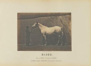 Bijou door Adrien Alban Tournachon
