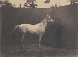 Pascaline, ca. 1855-60