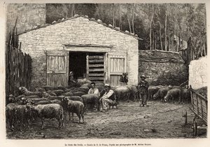 De schapenhandel, al het personeel van de boerderij werd ingezet voor deze taak, jongen, dienaar, onder toezicht van de herder, gravure naar een tekening van A.Marie, ter illustratie van een reis naar Roquefort en omgeving, door Adrien Roques en Jules Char door Adrien Emmanuel Marie