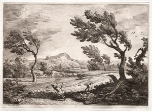 Landschap