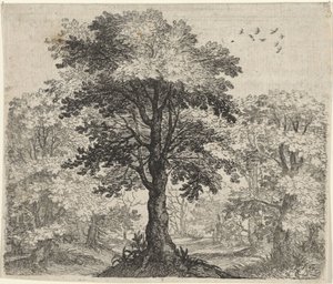 Fabel van de olm en de eik door Egidius  Sadeler (II)