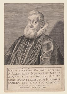 Gaspard Kaplir von Sulewitz, Raadslid van de Keizer