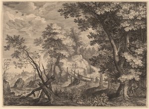 Boslandschap
