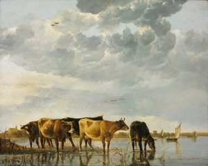 Vee in het water door Aelbert Cuyp