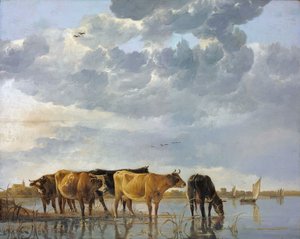 Vee in het water door Aelbert Cuyp