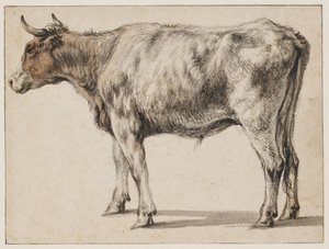  door Aelbert Cuyp